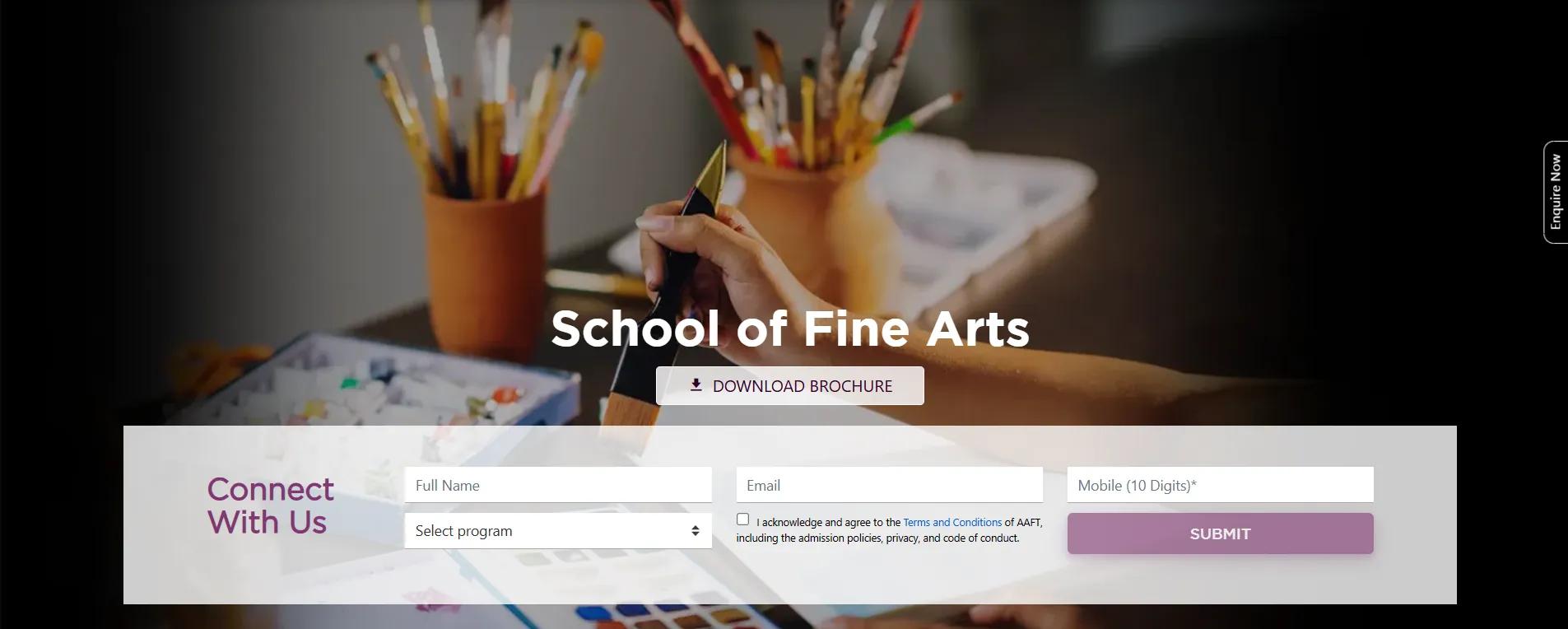 Bachelor’s in Fine Arts